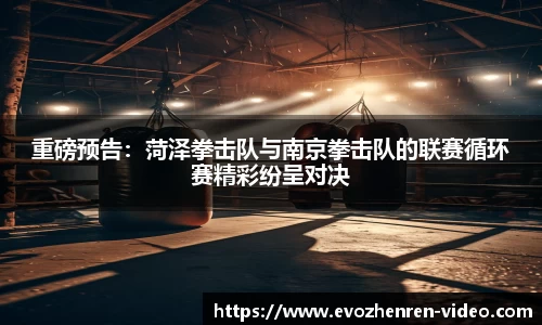 EVO真人视讯官网